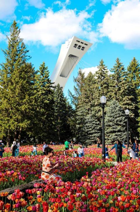 Suite Mont-Royal By Mtlvacationrentals Монреал Екстериор снимка